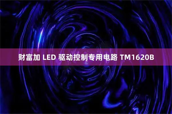 财富加 LED 驱动控制专用电路 TM1620B