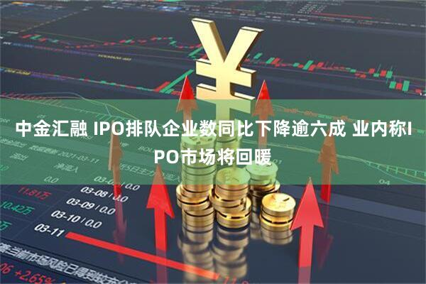 中金汇融 IPO排队企业数同比下降逾六成 业内称IPO市场将回暖